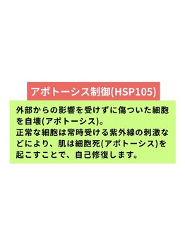 ヘルディン(heldin +555)/細胞を守る力