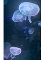 サクラブロウ 神戸三宮店(Sakura-blow)&nbsp;水族館によく行きます！クラゲが好きです★