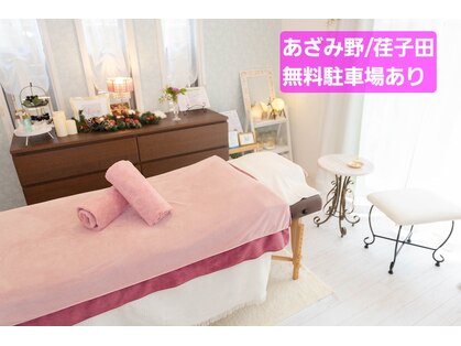 シオン(Shion)の写真