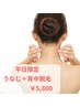 【平日限定】うなじ＋背中全体￥5800