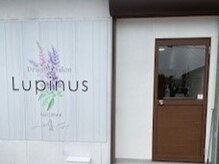 ルピナス(Lupinus)の雰囲気（お子様同伴可能です◎）