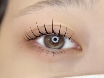 プリュム 中崎町店(PLUME)/ラッシュリフト【梅田｜中崎町】