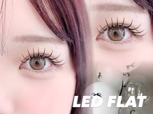 フラットラッシュ LEDフラット バインドロック パリエク