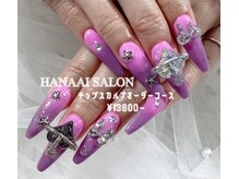 ハナアイ サロン 新大久保店(hanaai salon)/チップスカルプオーダー/13800～