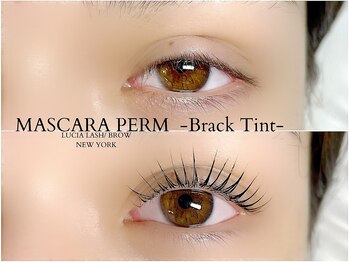 ルシアラッシュブロウ 新宿(LUCIA LASH BROW)/韓国で大人気マスカラパーマ♪