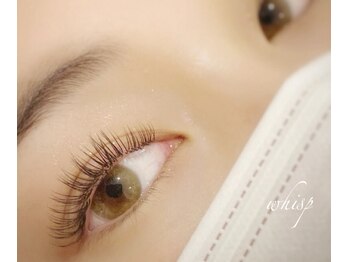 ウィスプ(WHISP)/フラットマットラッシュ140本