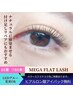 メガフラットラッシュ60束（180本）　超持続！ナチュラルボリューム 8000円 