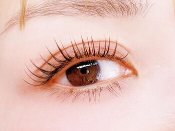 アイラッシュ モコ(eyelash moco)/まつエク【LEDエクステ】