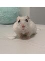 マキア 南富山駅前店(MAQUIA) ハムスター飼ってます(^^♪