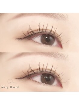 メアリーハリス 姪浜(Mary Harris)/フラットラッシュ 100本