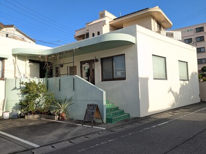 アルビジア(Albizia)の写真