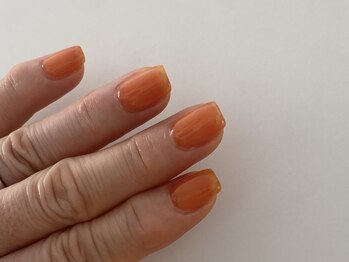 アルナイズネイル(Arnaiz nail)/オリジナルワンカラー