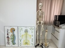 菜の花整体院の雰囲気(不調に合わせた施術をご提供☆)