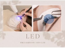スイ(Sui.)の雰囲気（LEDエクステお取り扱いしております♪J/C/Dカール/8～14mmまで）