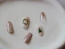 定額デザイン