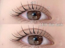 プラス サード(Plus 3rd)/LEDフラットラッシュ