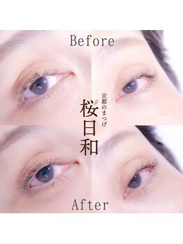 京都のまつげ 桜日和/