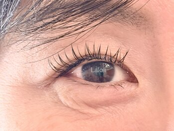 ラロリ(Laloli)/《フラットラッシュ》140本