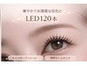 【LEDマツエク】フラットラッシュ120本 ¥8,800(オフ込)【華やかまつげ】