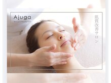 アジュガ(Ajuga)