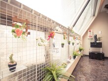 九龍 リラクゼーション 町田店/池袋店内観