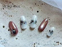 アクロネイルプラス(ACRO NAIL Plus)/2025年 11月 プレミアムコース2