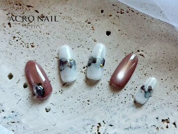 アクロネイルプラス(ACRO NAIL Plus)/2025年 11月 プレミアムコース2