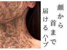 チッチ アフロディーテ(Chicchi Aphrodit)