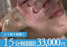 アリウム(ALLIUM)