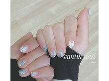 チャンティックネイル(cantik nail)/オーダーメイド120分コース