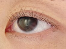 カラン 焼津店(CALIN)/ラスティングカール