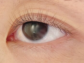 カラン 焼津店(CALIN)/ラスティングカール