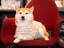 フェイバリットスパ(Favorite Spa)/