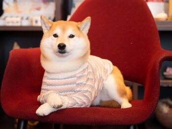 フェイバリットスパ(Favorite Spa)/