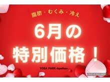 ヨサパーク アポロン(YOSA PARK Apollon)