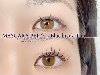 ルシアラッシュブロウ 新宿(LUCIA LASH BROW)/話題のマスカラパーマ!