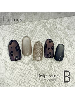 ルピナス(Lupinus)/定額Bコース
