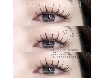 WhiteCamellia川崎店【マツエク/フラットラッシュ/パリジェンヌ/眉毛パーマ】の写真/【徹底した衛生管理◎】最軽量&付け心地◎フラットラッシュで自まつ毛の負担を抑えながら際立つ目元に♪