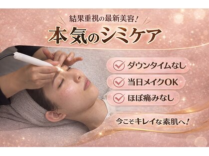 コリー(Kolly)の写真