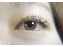 ビートルアイディー(Beetle ID)/