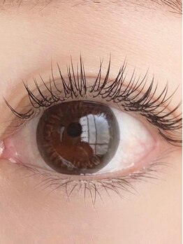 アイクイック 亀戸店(Ai Quick)の写真/今話題の最新自まつ毛ケア!【ラッシュアディクト初回¥3980】1人1人に合ったまつ毛ケア商品多数ご用意[亀戸]