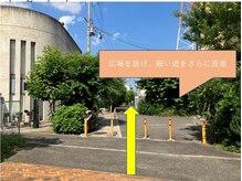 リノアラ(linoala)/サロンへの道筋　6