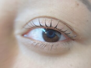 La,coco【2/1 OPEN(予定)】の写真/ナチュラルだけど印象的な目元へ☆自まつ毛のような自然な仕上がりに♪モチも良く、綺麗な目元をキープ◎