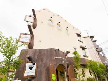 ロケラニ(Lokelani)