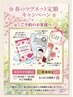 【桜満開♪】4月の平日10時～16時までのご予約☆マグネット定額☆特典付き☆