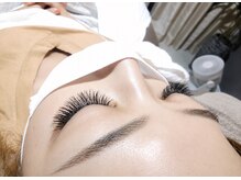 ドレス アイラッシュ(Dress eyelash)