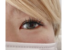 スンダリ(Sundari)/フラットラッシュ１８０本☆