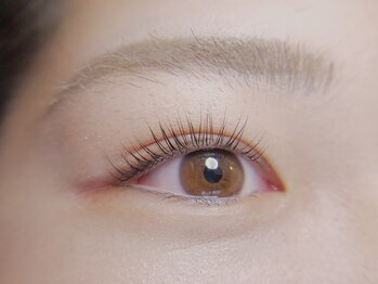 ビートルアイディー(Beetle ID)/