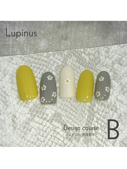 ルピナス(Lupinus)/定額Bコース