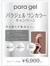 【para gel】 パラジェル ワンカラー 限定￥5980　他店オフ込み　